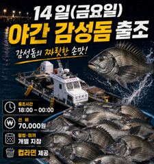 오늘야간감성돔출항확정~