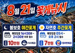 8/14일 자연호 백조기 실시간 망탱이 조황