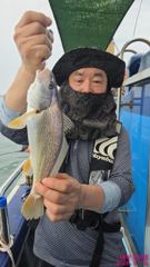 쭈갑백조황 - 08.14. 백조기 출조 조황정보 - 대천항 하이피싱,바다 배낚시,선상 우럭 광어낚시,쭈꾸미 예약