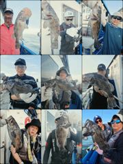 [우럭] ♡다잡아♡(체험) 8월 14일 조황~!^^