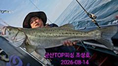 8월14일! 생미끼외수질! 오전실시간!