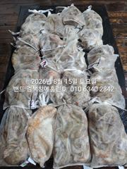 8월14일.군산 홈런호 야간 문어 마무리 조항입니다.조사님들 수고 하셨습니다.