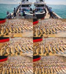♥ 붉바리들..이정도는 잡아봐야지요 역대급 초대박 붉바리조황입니다[2026년08월14일] ◎ 해마루호가 뜨는이유? 조황때문이죠 ◎ 핵심포인트: 바로진입.. 바로히트.. ▣ 차원이 다른 조황으로 모십니다 ▣ 요즘 붉바리낚시가 대세입니다