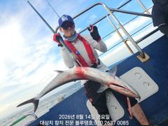 14/금ㅡ남동풍과 함께 대삼치들 조황!