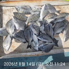 감시 찌낚시 시작합니다~