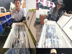 여수갈치[대교낚시] 먼바다 갈치조황,,내일 빈자리 여유