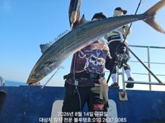 [경주] 14/금ㅡ남동풍과 함께 대삼치들 조황!