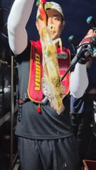 [포항] 14일 실시간>> 팁런무늬오징어 펀치펀치~!(토일 예약중)