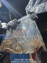 [진해] 문어] 일요일 야간예약가능~ 1.79k 땡기고 고고!!~