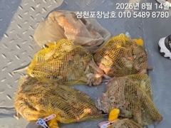 [사천] 문어 14일조황 내일오전5시출조 3자리여유