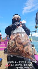 [통영] 문어야!! 어서와 반갑습니다