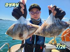 17일(월)여수돌문어출항합니다