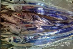 강진 마량대성1호 믿고오시면 됩니다.010-7289-7500
