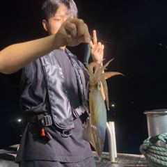 8월 14일 야간 한치낚시(반타임) 조황