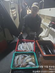 14일 거문도 무늬오징어 조황입니다