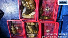서정호  첫 무늬 조황