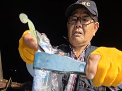 내만칼치ㅡ 바글바글. 잘 나와주네요 (일욜 예약가능)