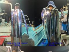 통영백가피싱)오늘3자리/먼바다 왕갈치 오랜만에 조황 올려 봅니다.