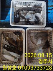 가자~가자~ 무늬오징어 잡어러 가자~ 홈런치러가자~~~