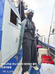 오전 피딩 타임 대삼치 요기 다 있네요 ^^~~~~~