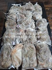 14일 홈런호 야간문어 언제나 굿조황 마무리 합니다 날씨가 좋아져서 쭉 출항합니다