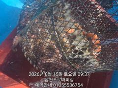 (실시간)문어 K급까지~장원 두 자릿수 돌파~로마피싱(16일 예…