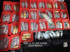 [사천] 무늬 팁런 조황~ 마릿수 굿~ 일요일 부터 자리 예약 가능 합니…