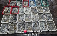 무늬오징어 던지면 뭅니다