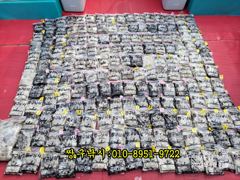 조황정보 - 2026년 쭈꾸미&;갑오징어시즌이 다가옵니다 - 영흥도 짱구낚시