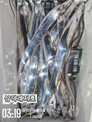 [통영] [텐빈]씨알끝장,기본3~4지,쿨러만땅,반쿨(화요일부터 출항)