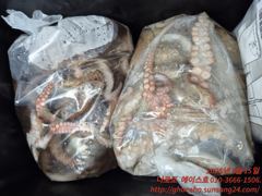 [고흥,녹동] 15일(토) 고흥 나로도권 문어.