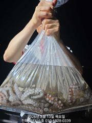 문어] 월요일 야간예약가능~ 마릿수줍줍조황~ 월욜부터 고고!!~