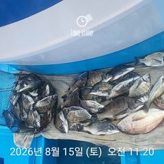 삼천포 내만권 감성돔