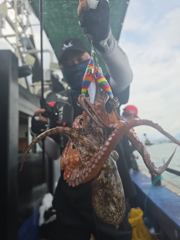 오늘 토욜 돌문어조황.내일 기상악화 휴항.월욜부터 쭉~황금물때 예약중입니다.돌문어 선수 모집.