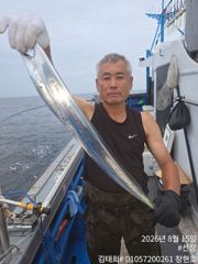 [통영] (통영창현호)8월15일 갈치 중간조황입니다.