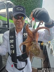 8월 15일 문어조황