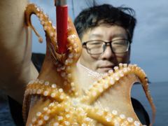 8월15일 토요일 갈매기호 야간문어 실시간 조황