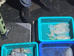 8월15일 무늬오징어 초보분들도 손맛보시고 가셨습니다~