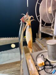 오늘갈치 다녀 왔읍니다