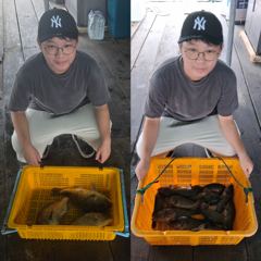 8월 15일,16일 조황입니다~^^