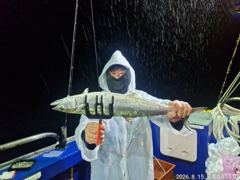 8.15도시어부호 야간 고등어 실시간 조황