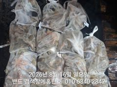 8월15일 군산 홈런호 야간 문어 마무리 조항 입니다 악조건 속…