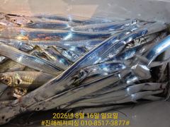 내만칼치ㅡ 청기들어 백기들어 난리난리요 (예약가능)