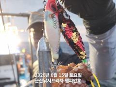 8/15일, 야간문어~부쩍 커진 군산 문어 ~실시간~오늘도 갑니…