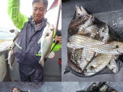 <자연호> 주간 백조기 실시간 조황(16일)-내일 백조기 정상출항합니다~!