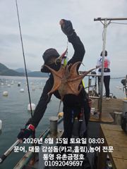 통영 금정호 오전문어선상 손맛조황입니다 주중 주말자리있습니다