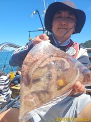 [여수,광양] ※※※※돌문어 내일 출동※※※※