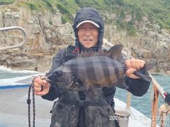 [여수,광양] 56cm돌돔 마릿수 조화밉니다