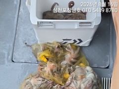 16일문어조황 왠일입니까?서울두분이 1~2둥