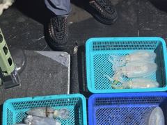 8월15일 무늬오징어 초보분들도 손 맛을 보고 가셨습니다